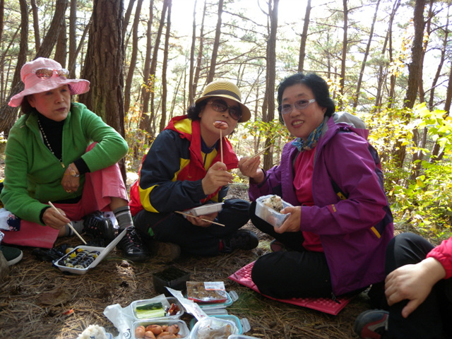 2012년 권찰회 소풍(화왕산/가고파 국화축제)